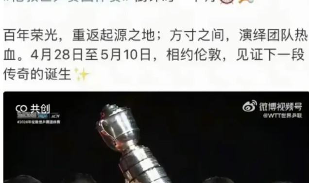 樊振东“自愿退赛”的背后真相！