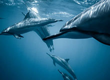 九游娱乐网页版-CMG群众足球邀请赛：湛江队2-0战胜呼和浩特队